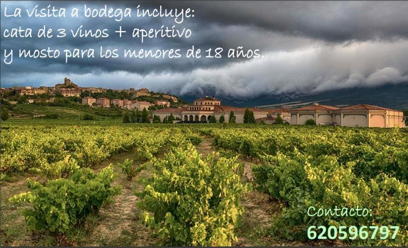 Villa La Puerta De Viana, Con Desayuno, Piscina Y Posibilidad Visita A Bodega! Viana  Exterior foto